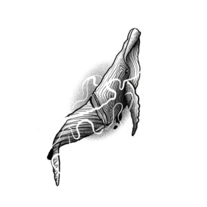 Ilustração Sem Título